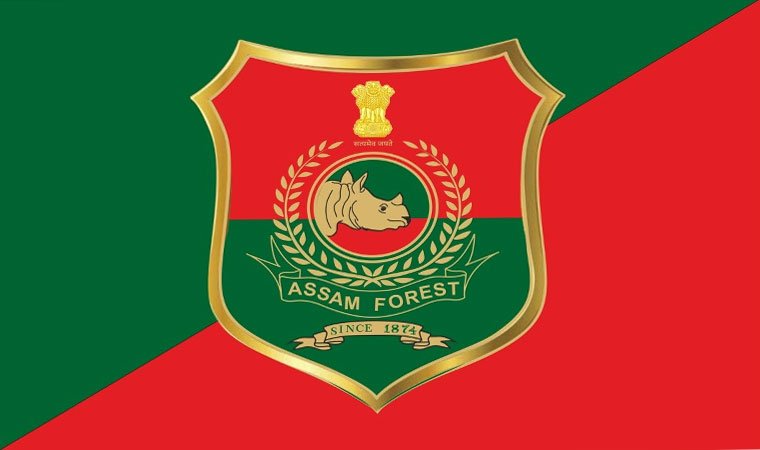 assam forest department