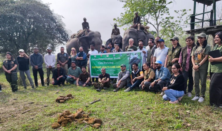 Mobile elephant clinic Kaziranga